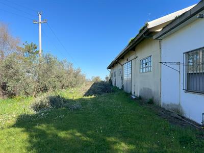 properties