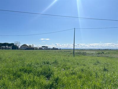 properties